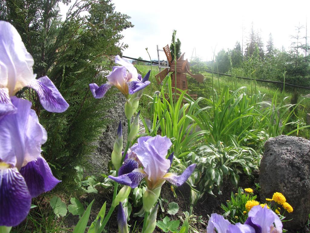 Willa Posrednia Zakopane Bagian luar foto