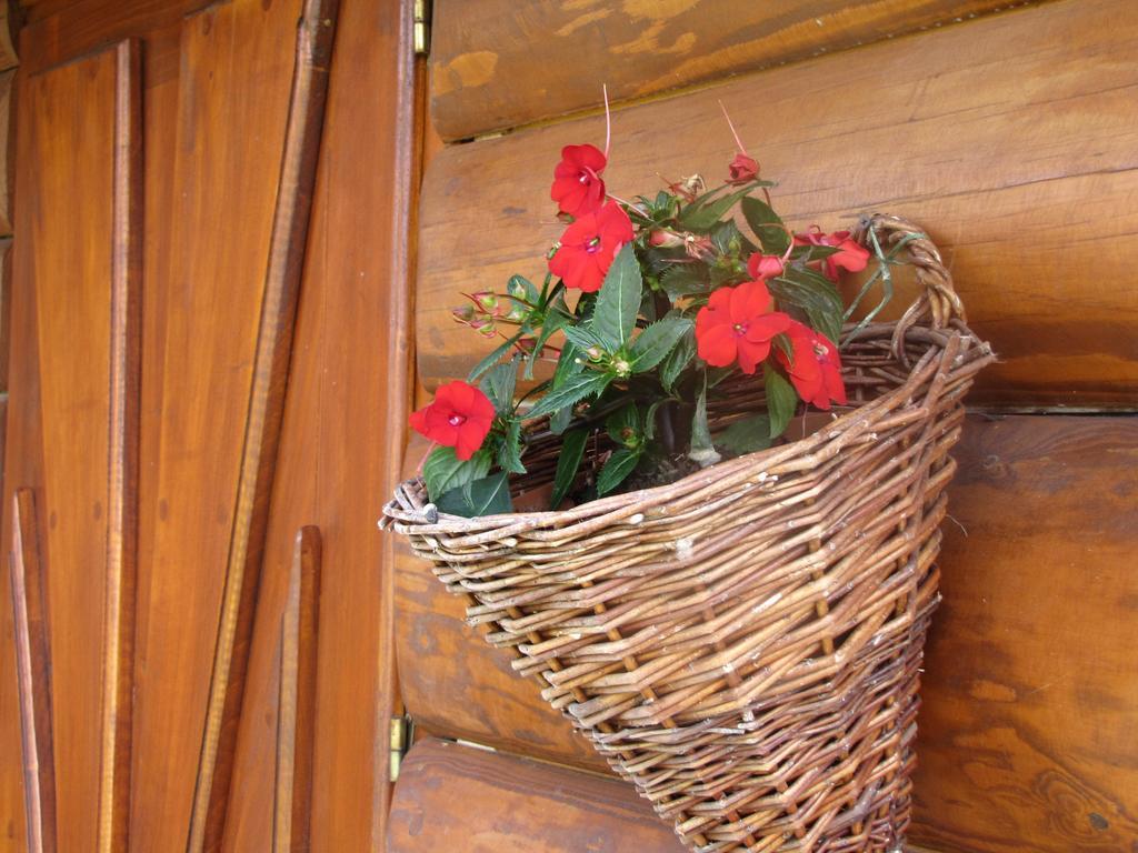 Willa Posrednia Zakopane Bagian luar foto