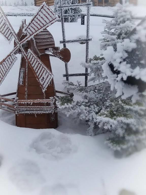 Willa Posrednia Zakopane Bagian luar foto